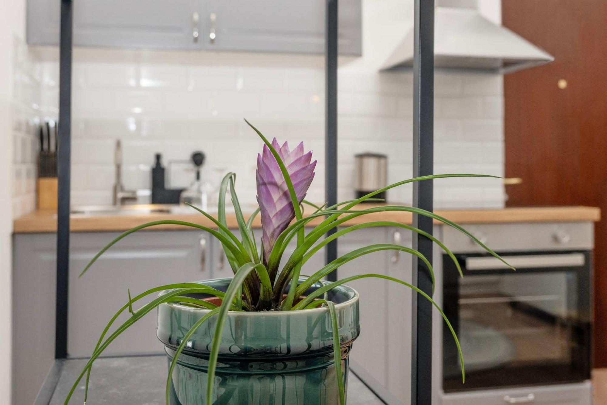 Studio Apartment Stadium Zagreb Exterior foto
